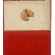 Fortune cookie thumbnail