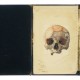 Skull thumbnail